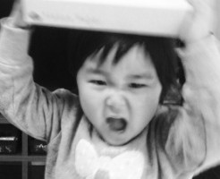 20150417-201301.jpg