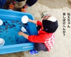 20150614-182713.jpg