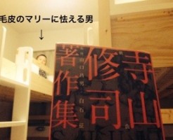 20150701-200519.jpg