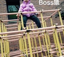 20160309-201305.jpg
