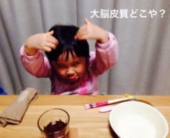 20160314-191753.jpg