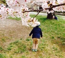 20160410-185525.jpg