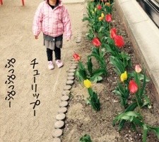 20160413-004945.jpg
