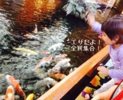 20160506-111406.jpg
