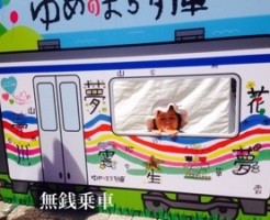 20160515-121436.jpg