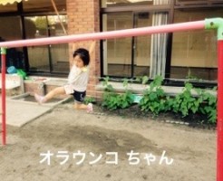 20160712-222256.jpg