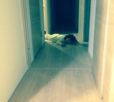20161021-061131.jpg