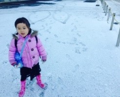 20161212-083046.jpg