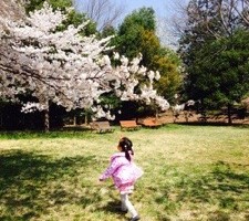 20170417-054944.jpg