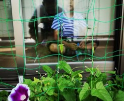 wpid-IMG_20170711_072859.jpg