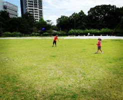 wpid-IMG_20170717_201545.jpg
