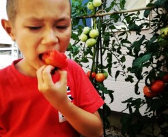 wpid-IMG_20170814_154114.jpg