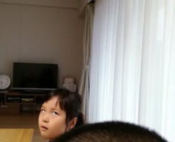 wpid-IMG_20171017_064038.jpg