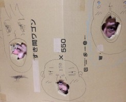 wpid-1520896794753.jpg