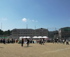 wpid-IMG_20180602_090121.jpg