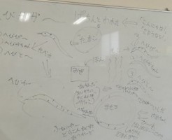 wpid-IMG_20180905_095637.jpg