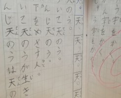 wpid-IMG_20190228_170011.jpg