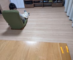 PXL_20220201_122950788.MP