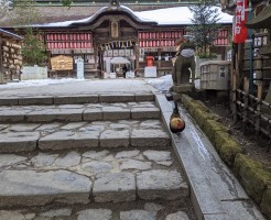 PXL_20220219_043409678