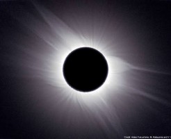 images (10)