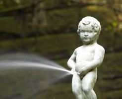 images (9)